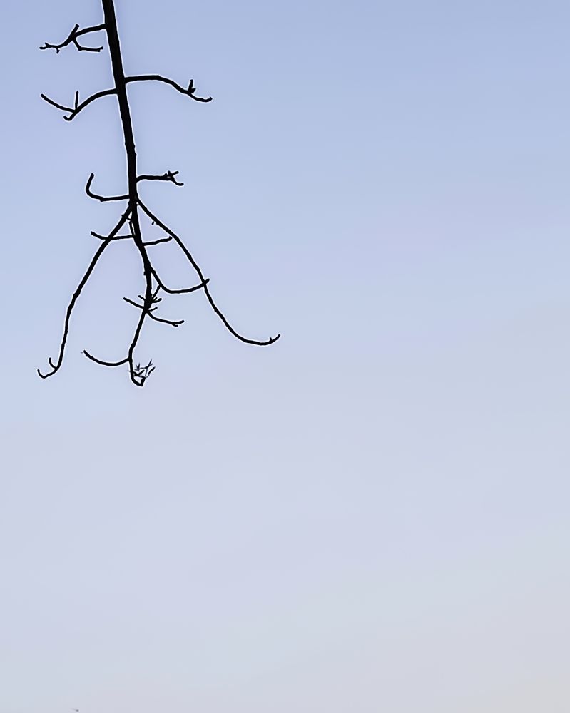 Photograph by ISHANK DESHPANDE
