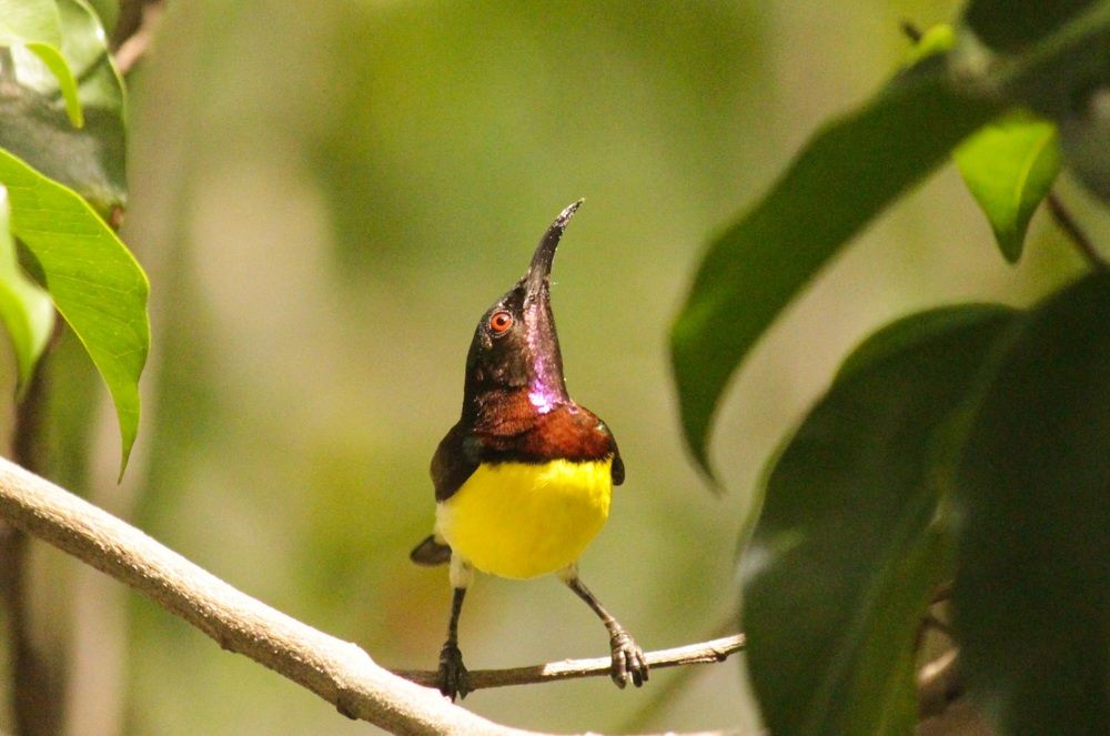 Photograph by Mathew Nishanth