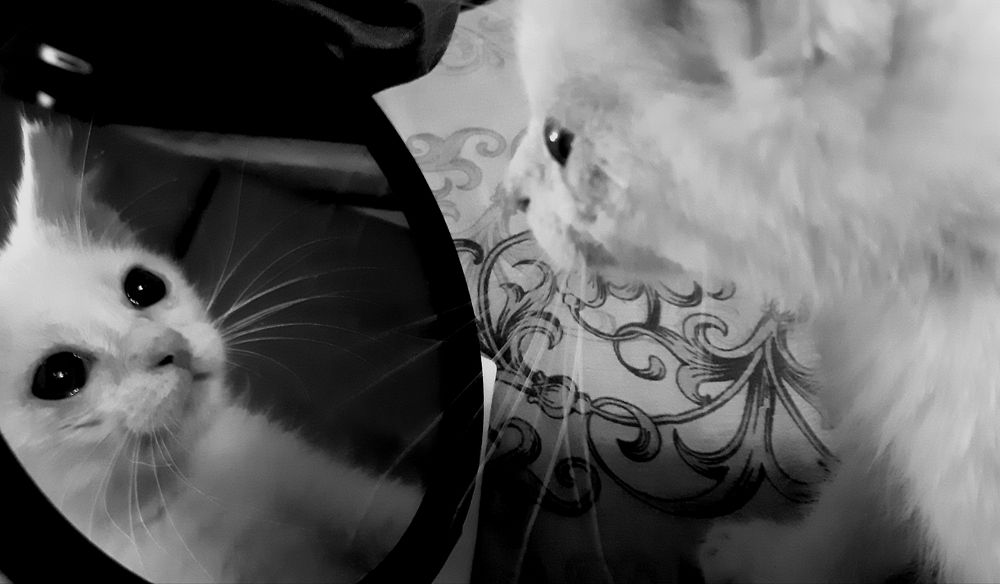 Кто я на самом деле?