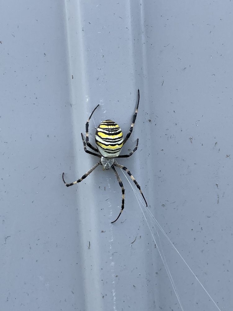 Photograph by Анна