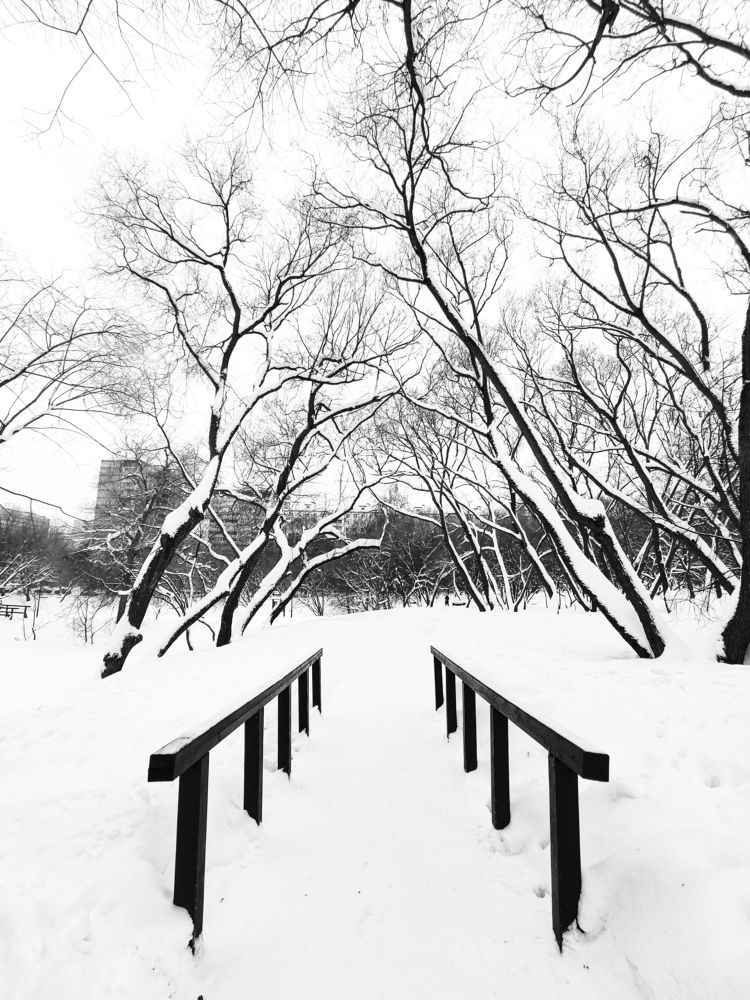 Photograph by Андрей Ионов