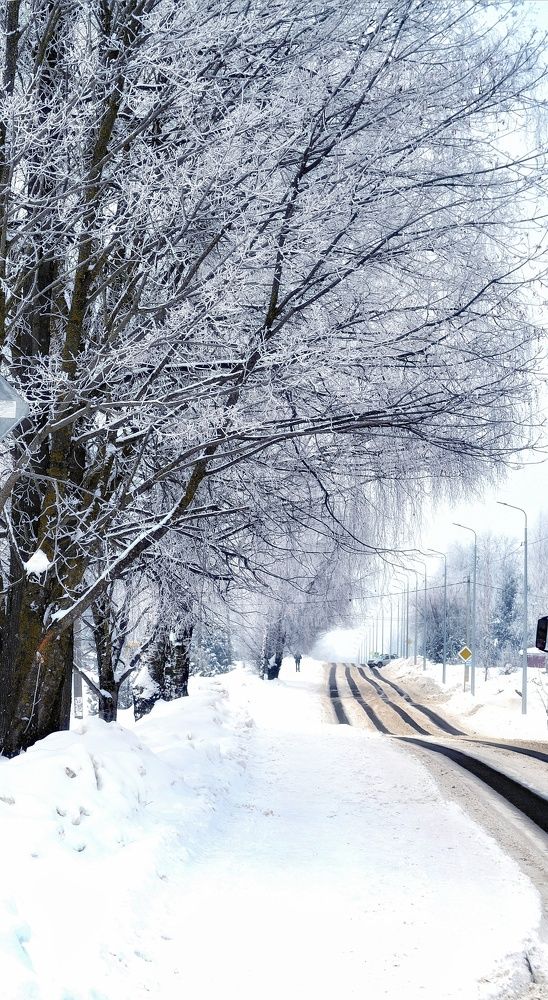 Photograph by Кира Орлова