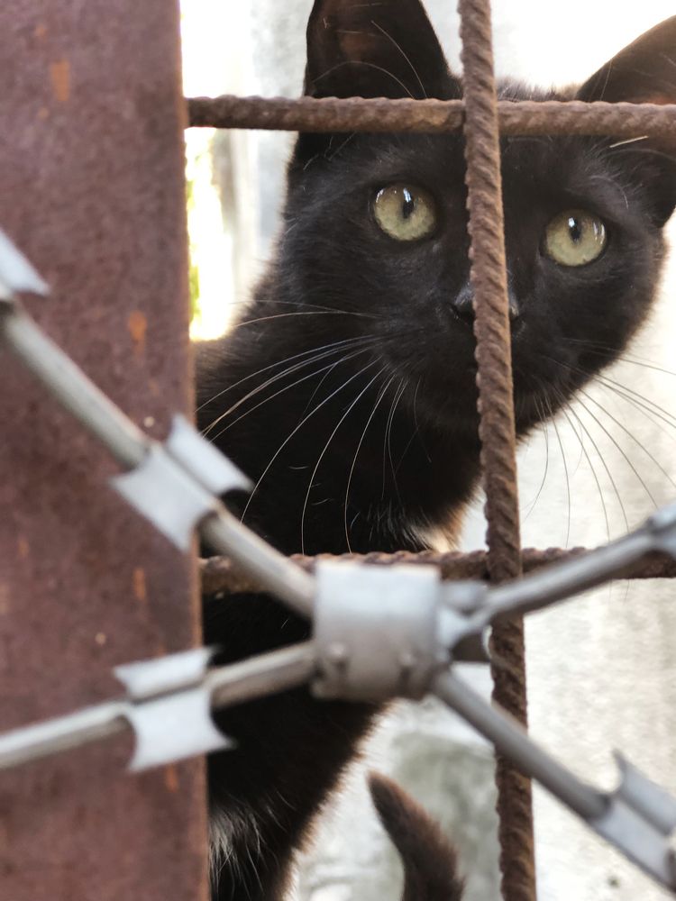 Photograph by Татьяна Калайда