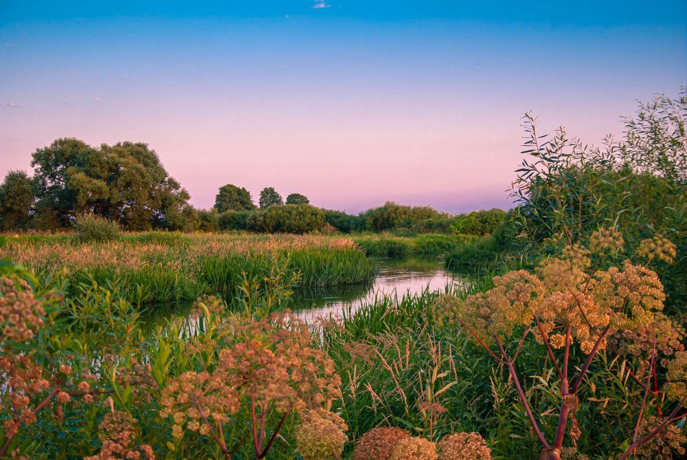 Photograph by Диана Бородзе