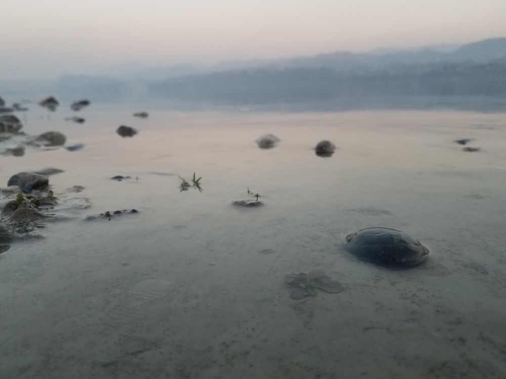 Stone in focus