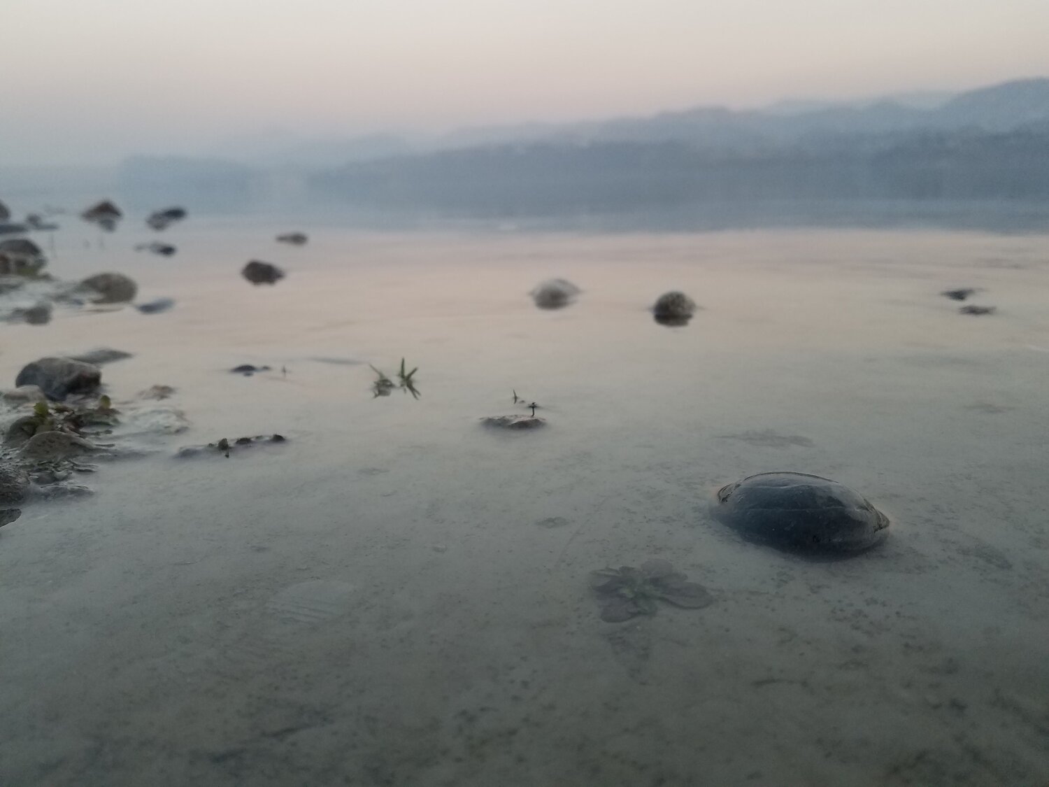 Stone in focus
