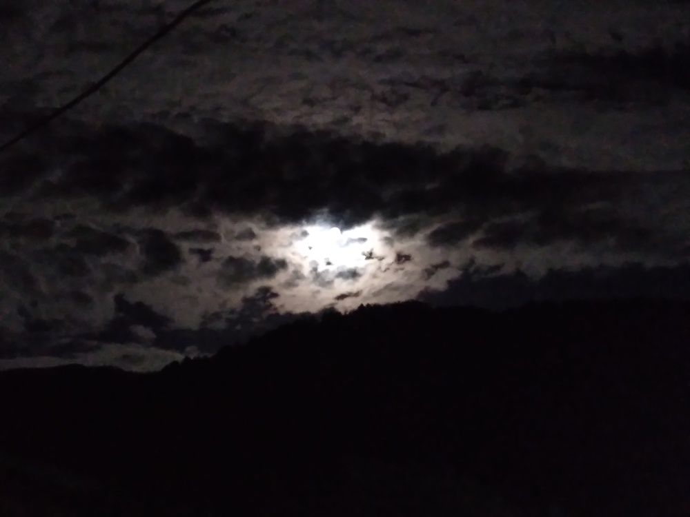 Photo #7219900
