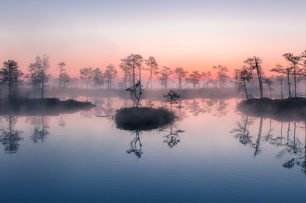 Photograph by валерий куропаткин