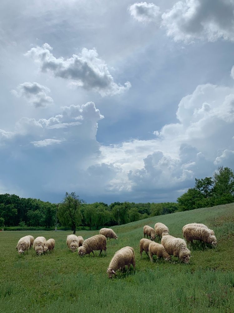 Photograph by Павел Тищенко