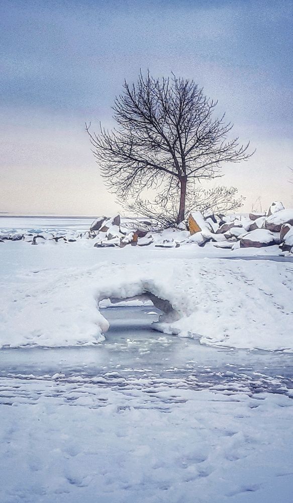 Белое безмолвие.