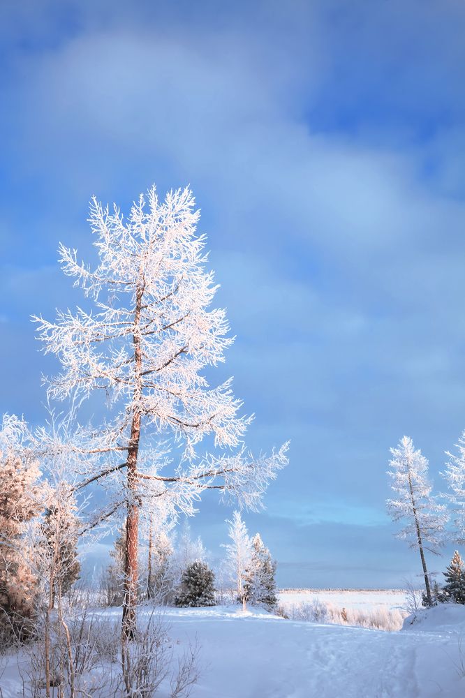 Добро пожаловать на озеро Ямылимуяганто.
