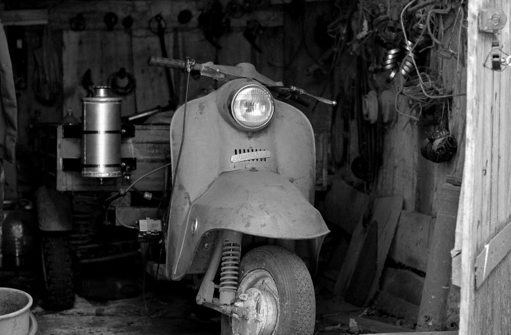 "Старый Муравей"