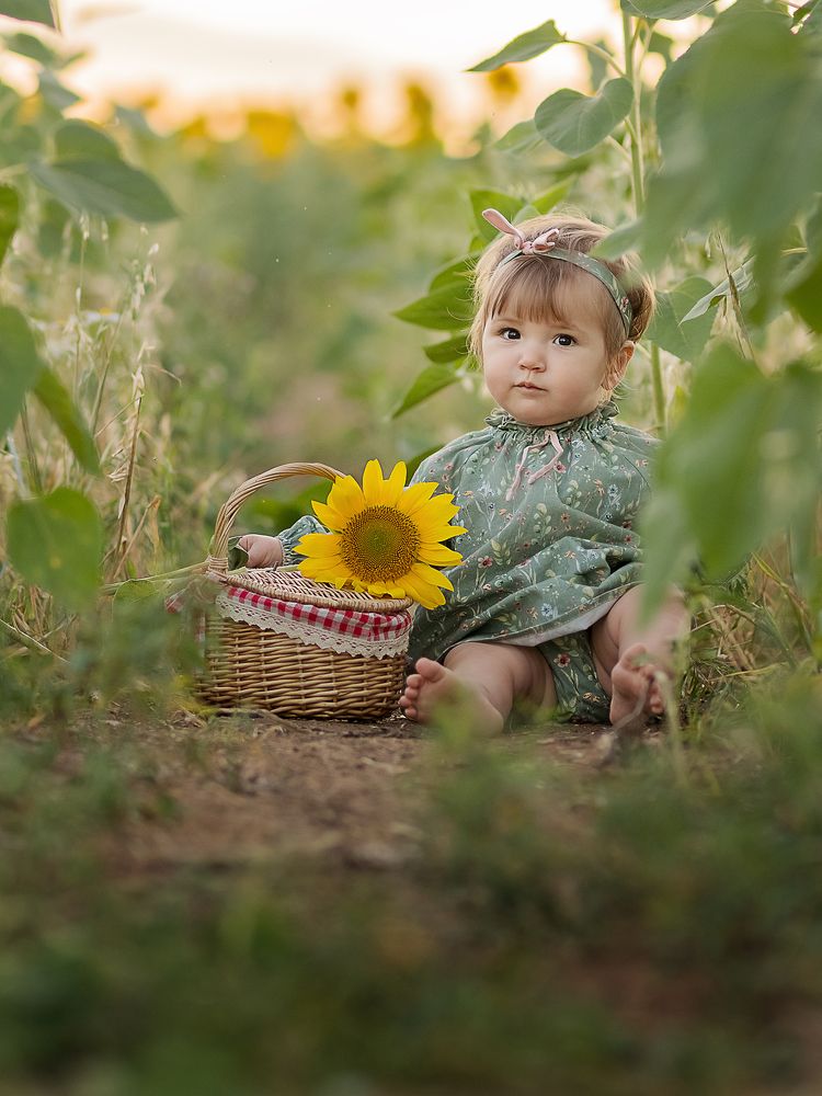 В подсолнухах