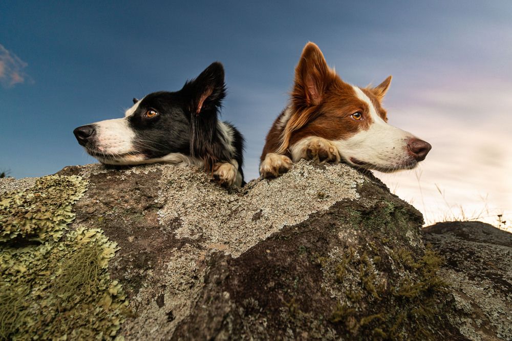 Photograph by Leonidas Ribeiro