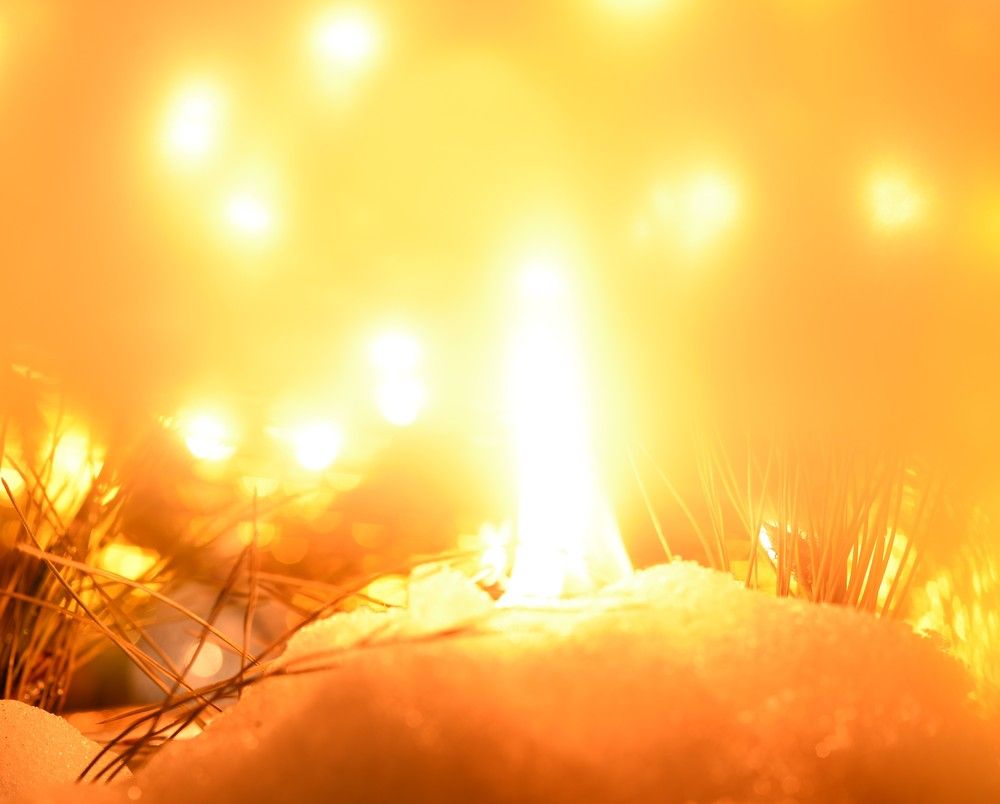 Фотография автора Ася Бабушкина