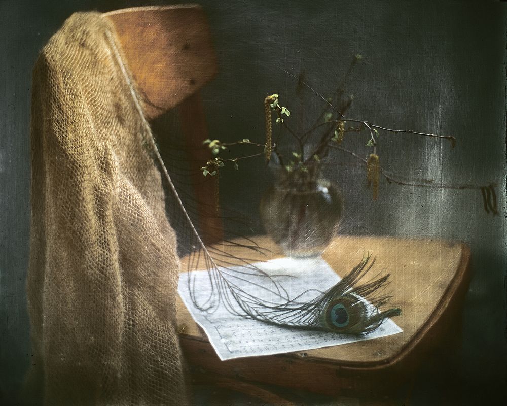 Photograph by Татьяна Аверина