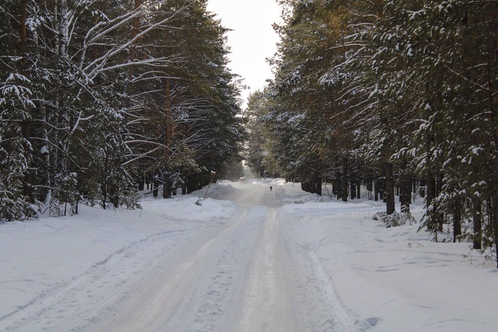 Photograph by Андрей Астафьев