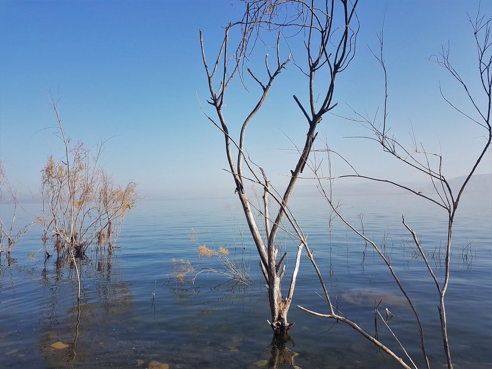Фотография автора Ася Бабушкина