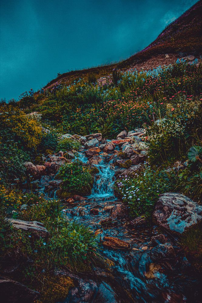 Фотография автора Владимир Михайлов