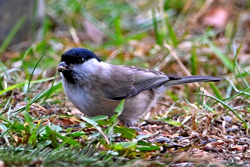 Photograph by Csótai Katalin