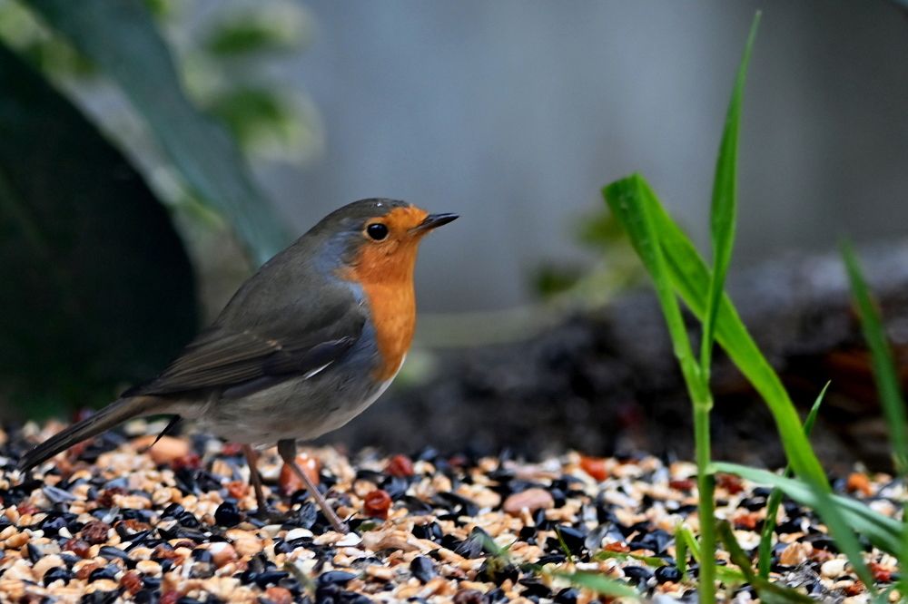 Photograph by Csótai Katalin