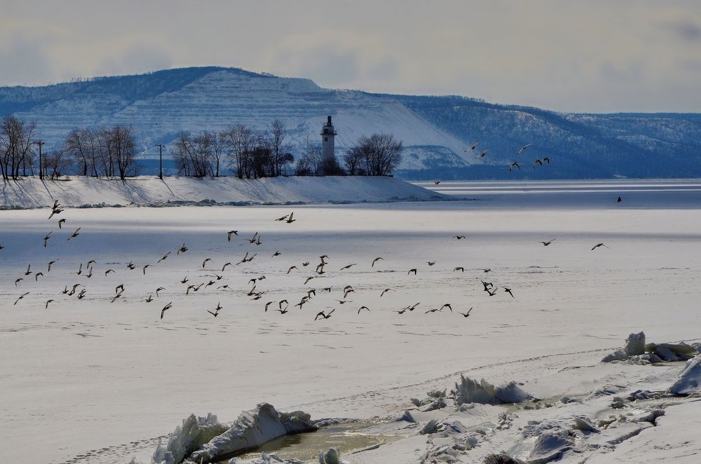 Photograph by Наталья Иванова