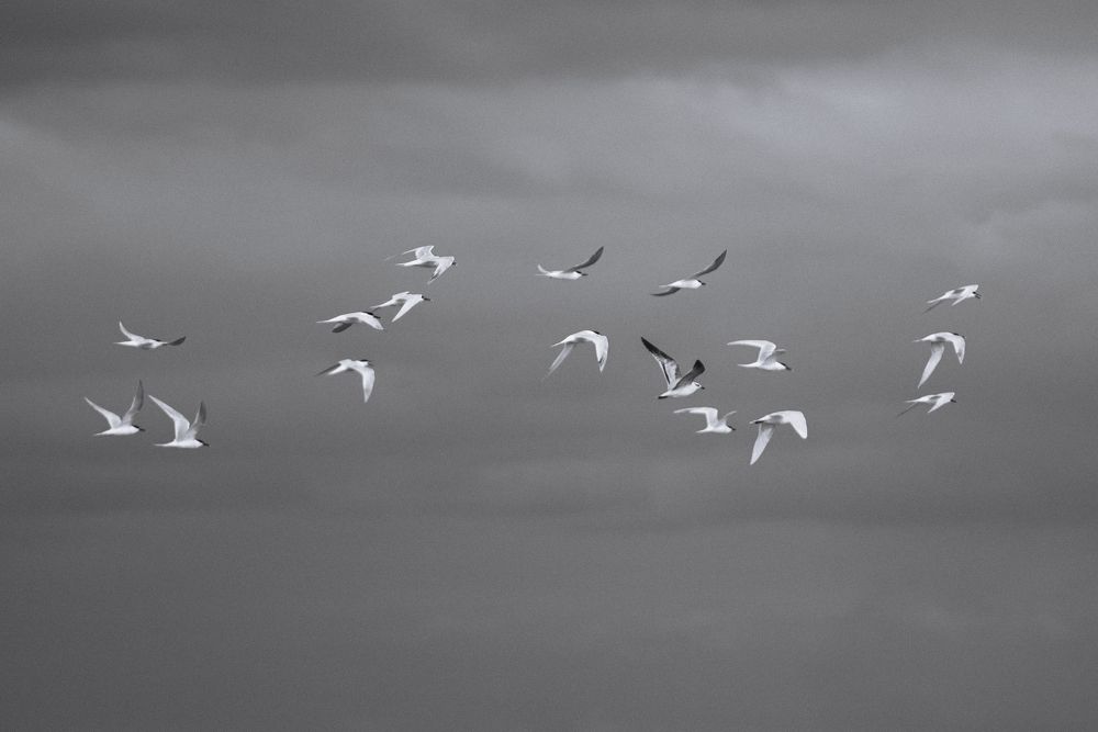 Photograph by Владимир Белозоренко
