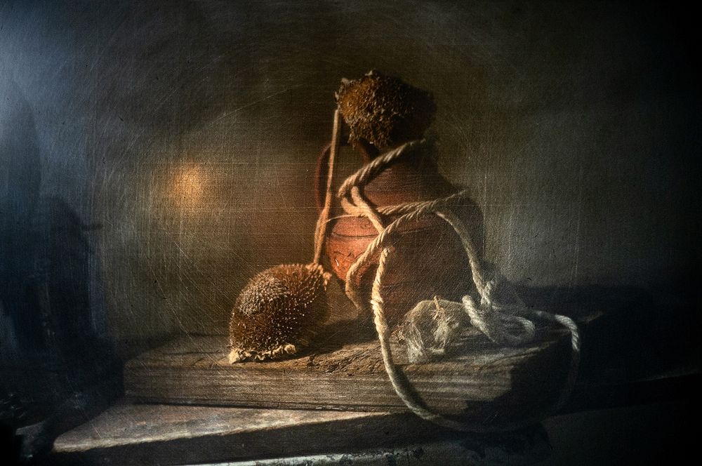 Photograph by Татьяна Аверина