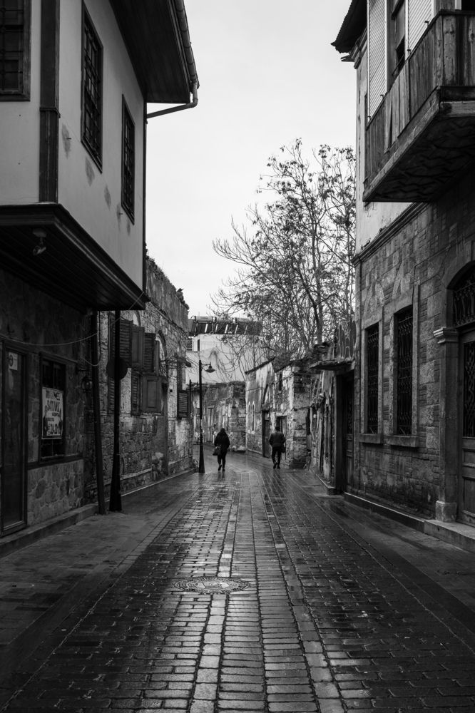 Photograph by Alp Aysgl