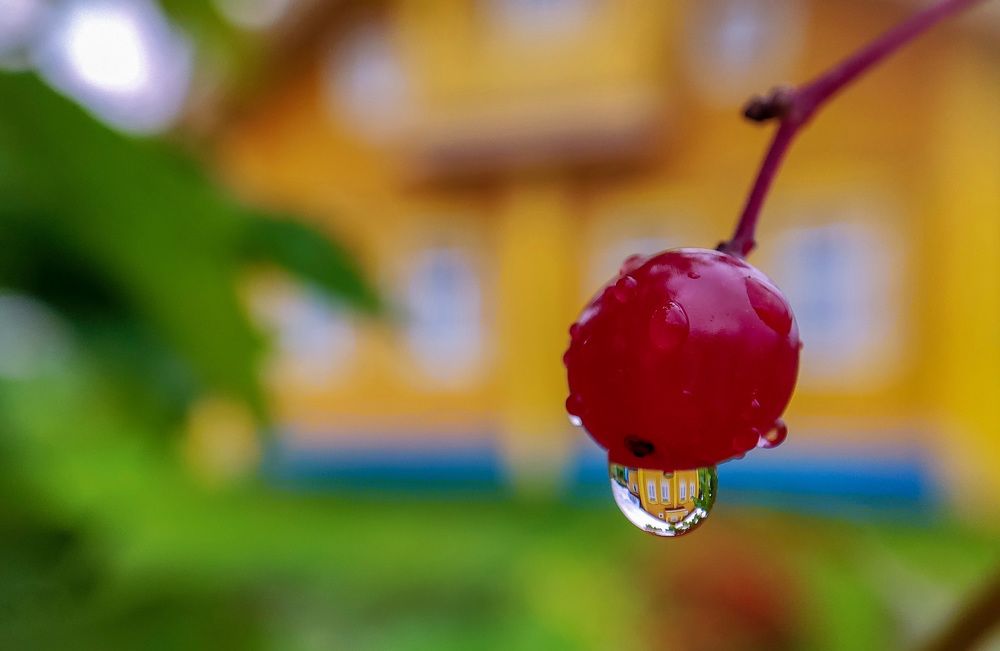 Photograph by Иван Клещин