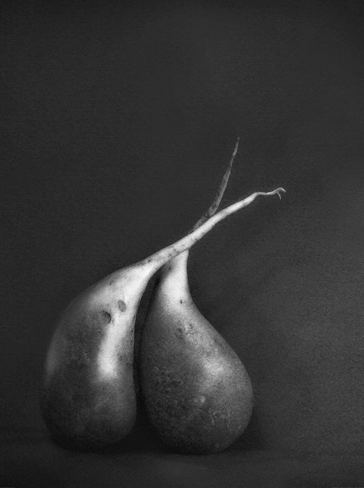 Не бойся, я с тобой