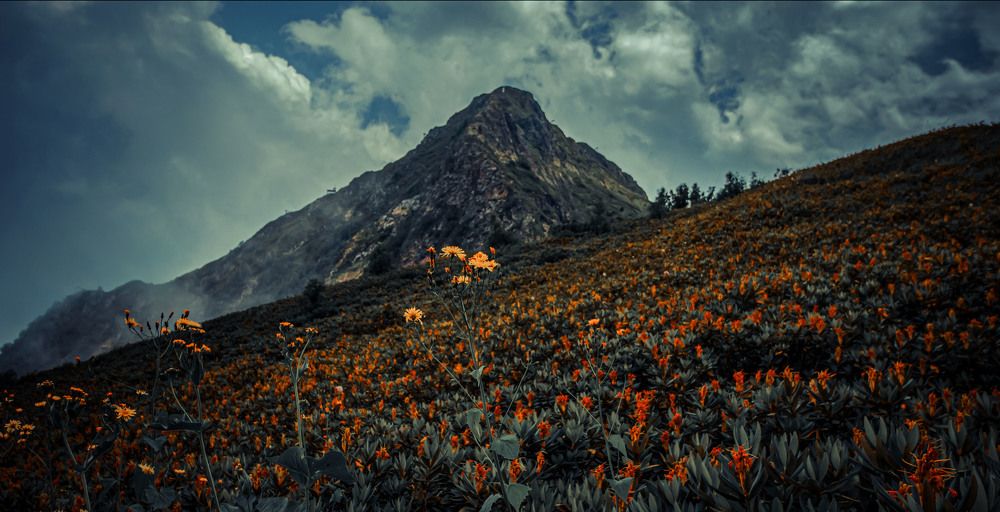 Photograph by 