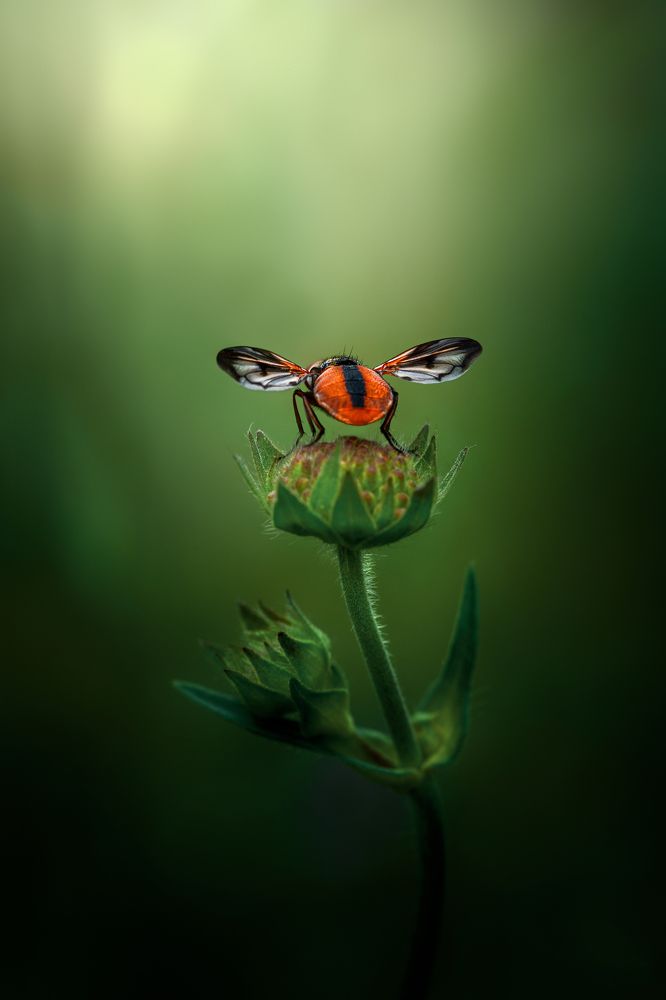 Фотография автора Татьяна Гореславец