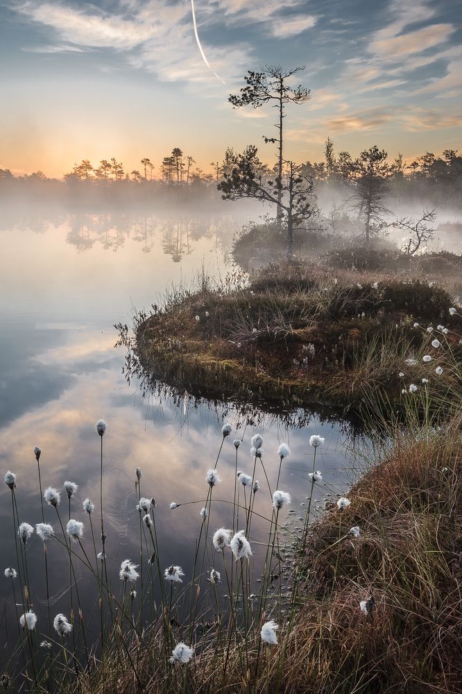 Photograph by валерий куропаткин