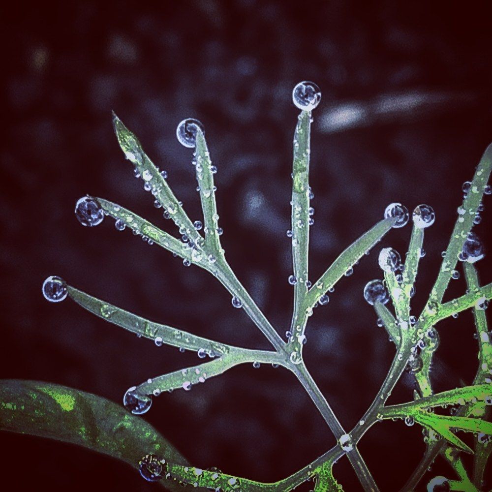 Photograph by 