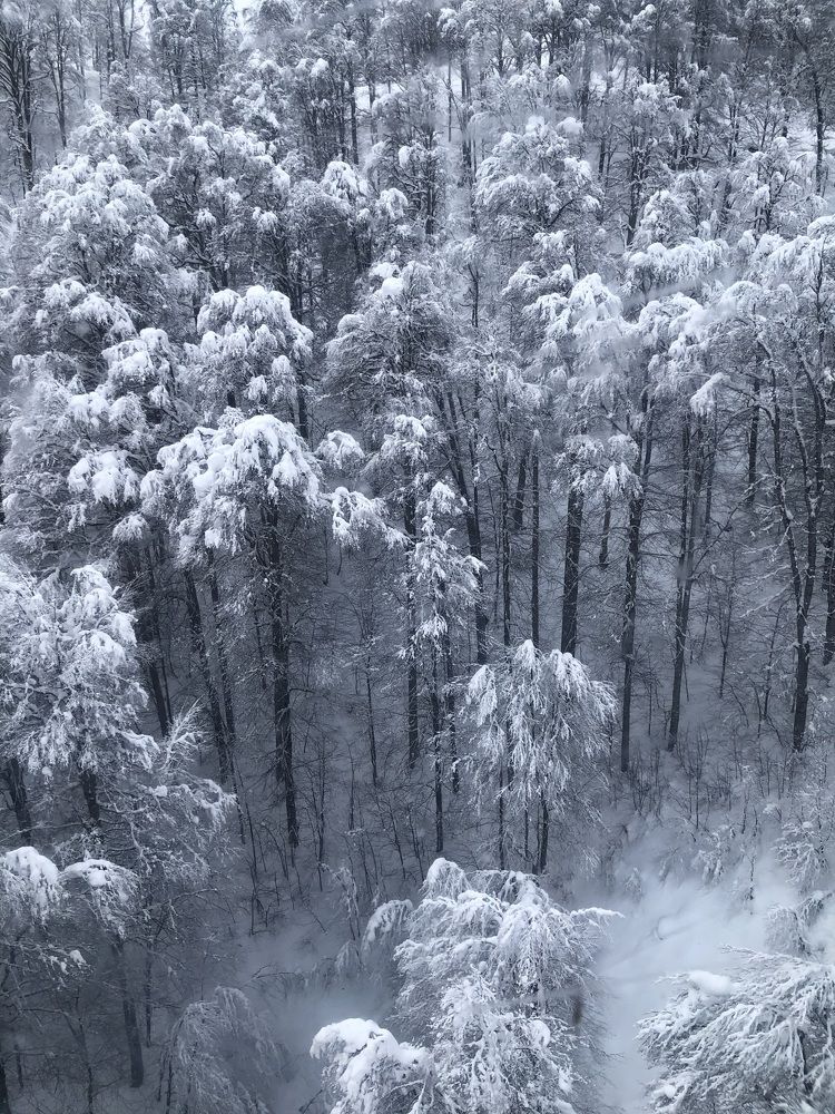 Photograph by Татьяна Калайда