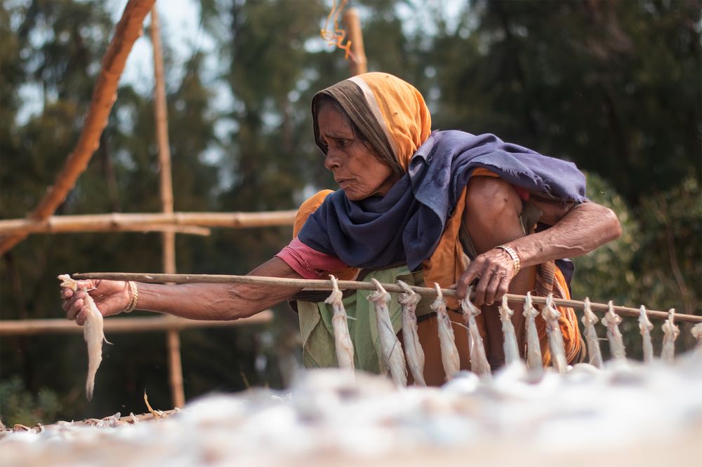 Livelihood
