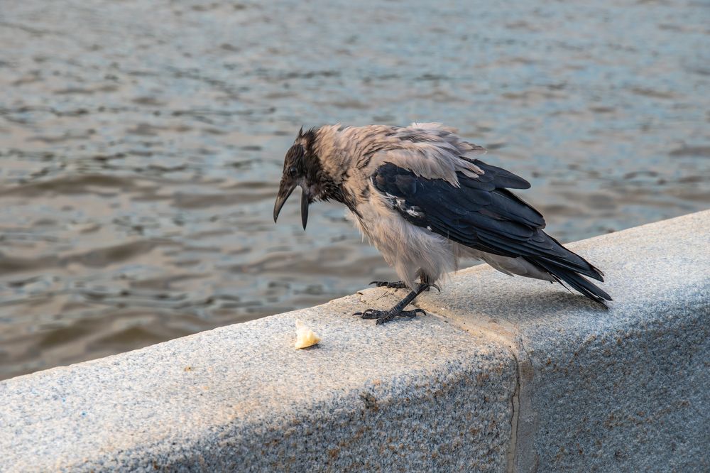 Photograph by Оксана Худякова