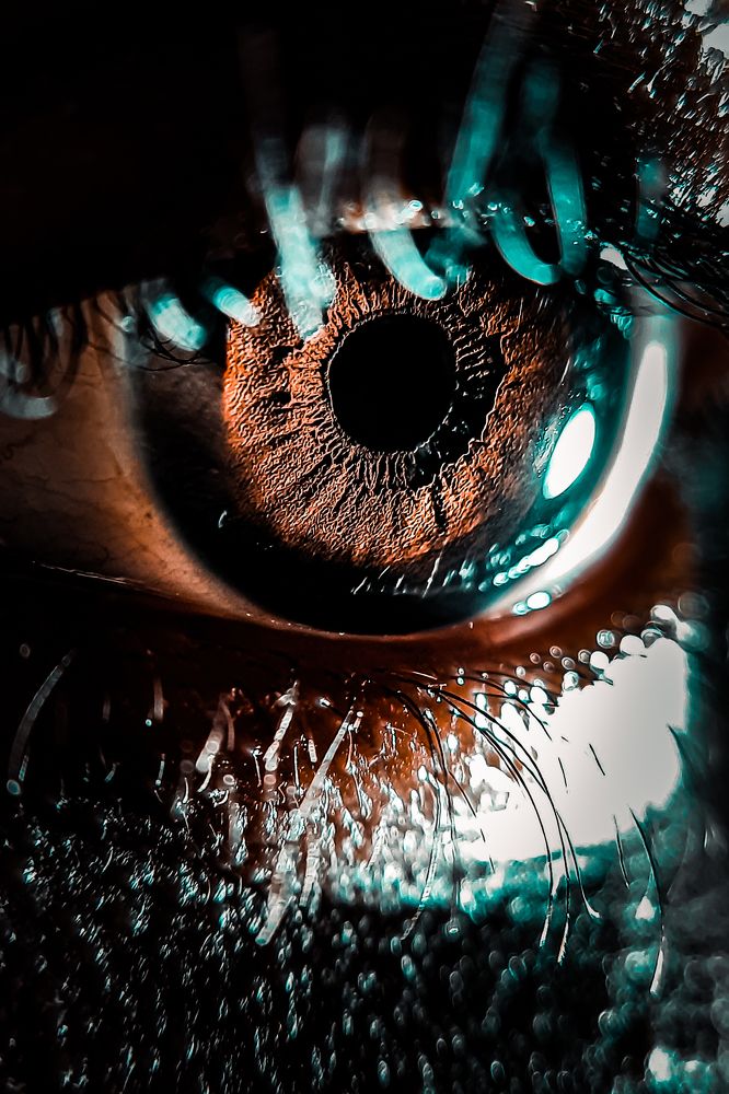 Macro Human Eye