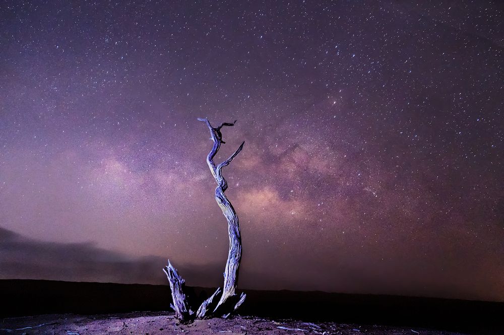 Photograph by Hassan Albusaidi