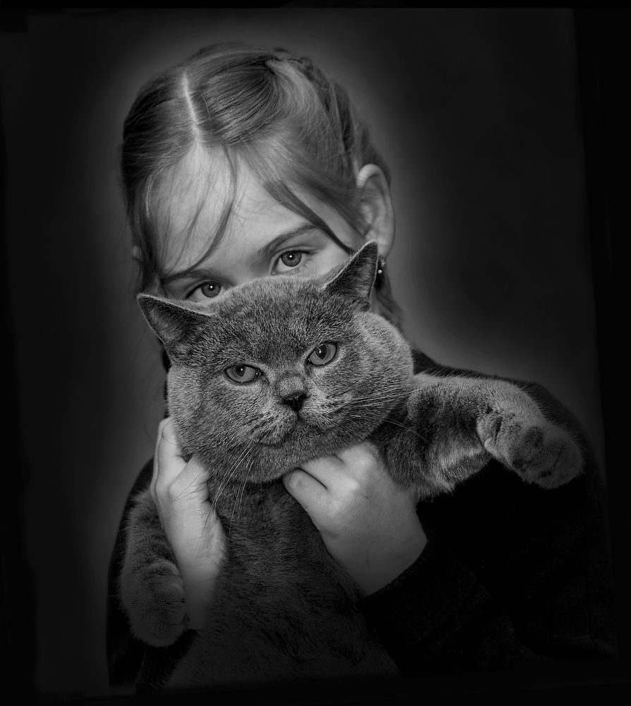 Чадо и домочадцы