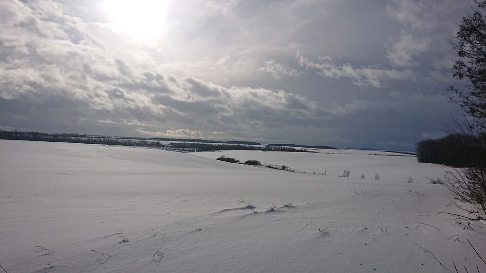 Photo #7220562