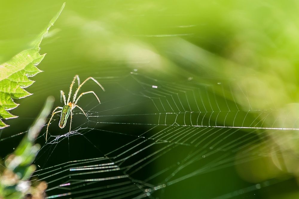Photograph by Виталий Слёзка