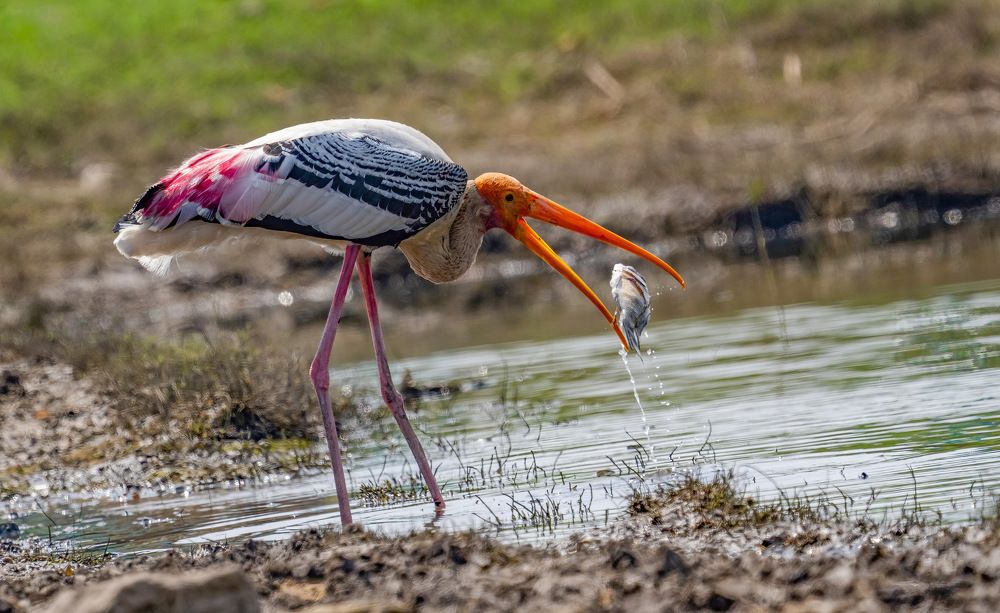 Photograph by Nitin Baste