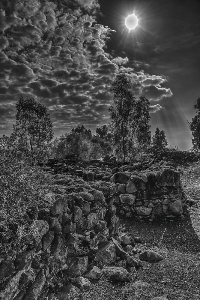 Photograph by Владимир Бутов