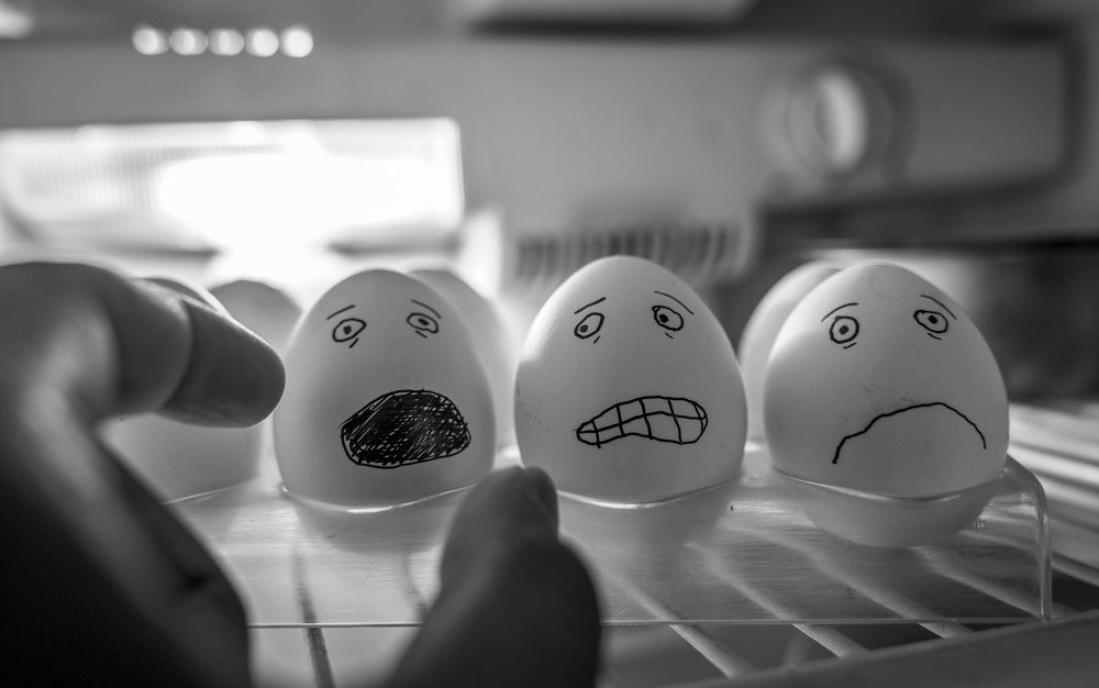 An Eggcellent Story!