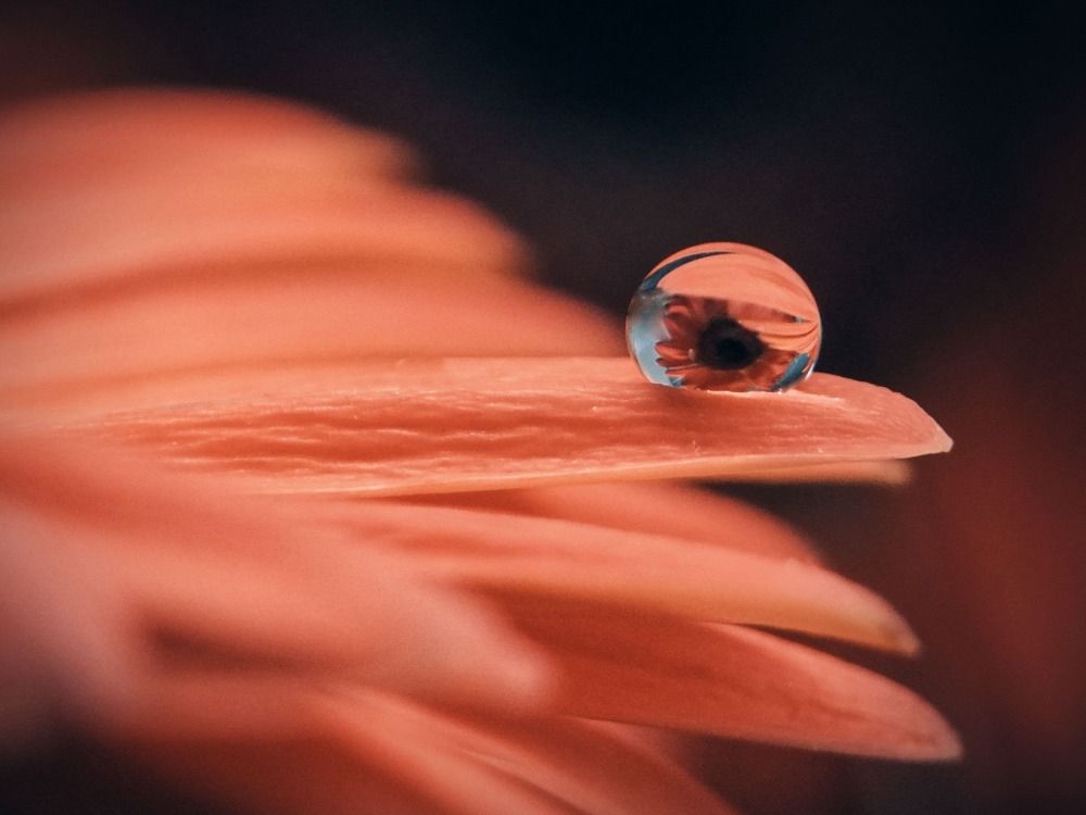 Photograph by Юлия Иванова