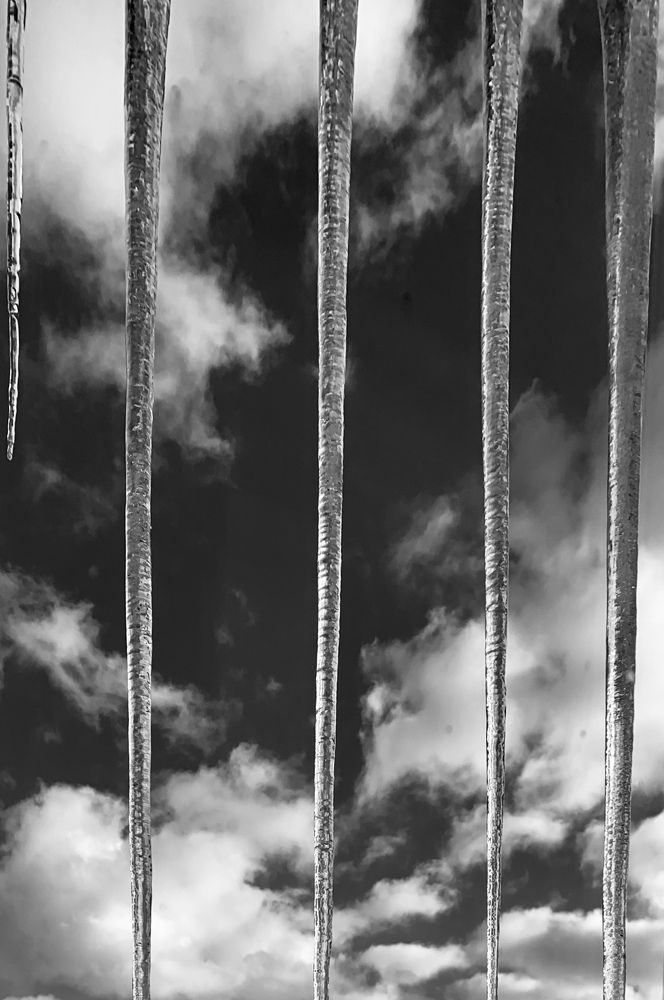 Photograph by Veronika Trubnikova