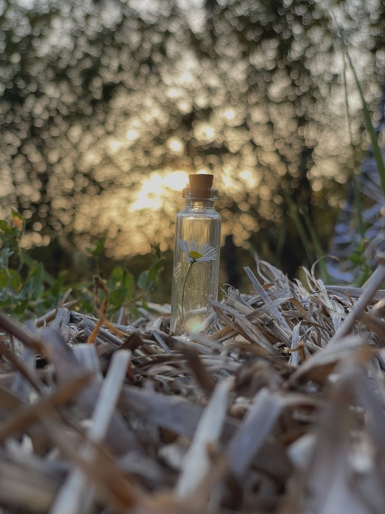 Photograph by настъь