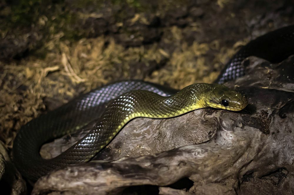 Photograph by Станислава Войцеховская